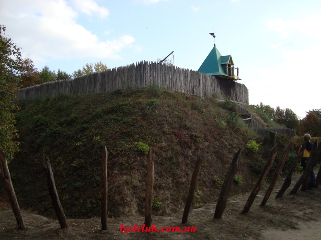 DSC02544