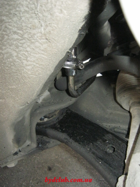 IMG 4546