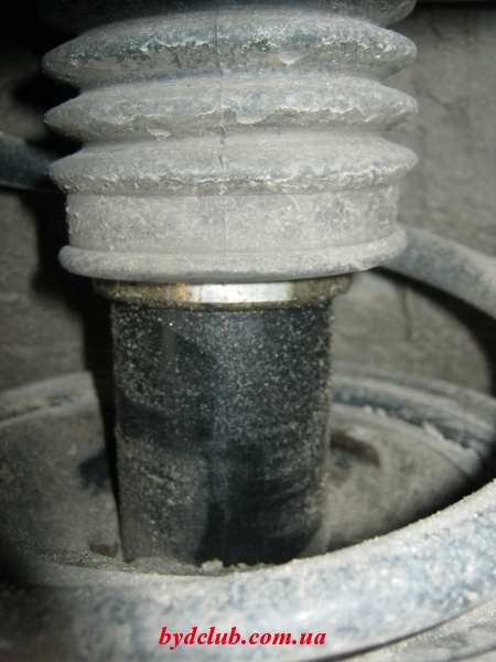 IMG 4550