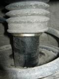 IMG 4550